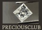 PRECIOUSCLUB
